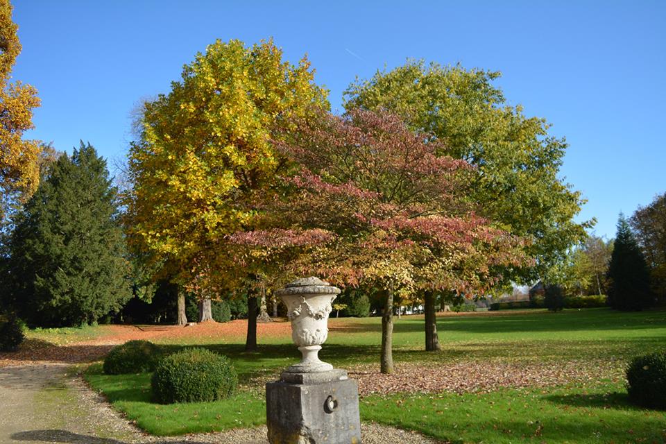 Jardin château de montgobert
